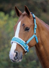 SHIRES LUNGE CAVESSON  FLEECE