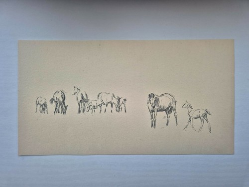 Antique pencil drawing - antique, fox
