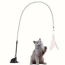 Cat kitten toy feather - toy,