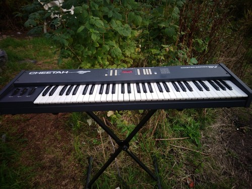 Cheetah master series - 5v, midi