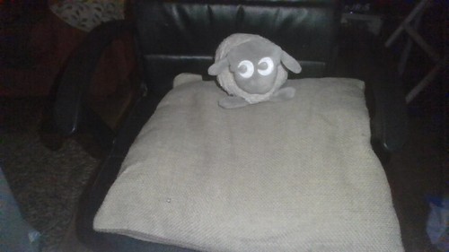 Ewan dream sheep sleep - dream, aid