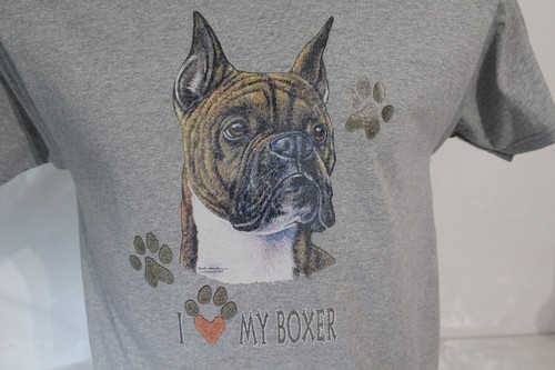 Boxer dog breed - dog, new