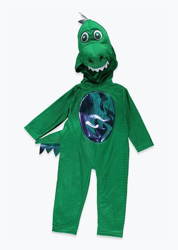 Dinosaur fancy dress costume - dinosaur,