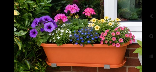 Window box trough planter no - window,