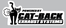 CAT BACK EXHAUST TRUCK DIESEL