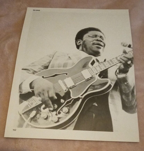 King guitar 3 - king,