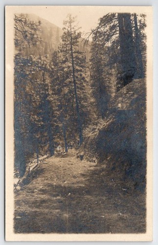 Rppc horse drawn - rppc,
