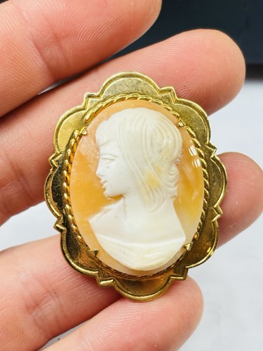 Antique high quality - , shell