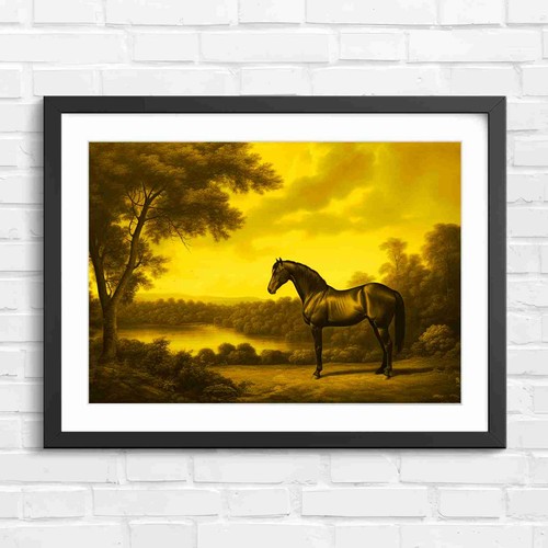 Dark brown horse - dark, in