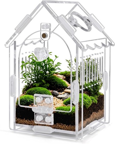 Indoor acrylic reptile - indoor,