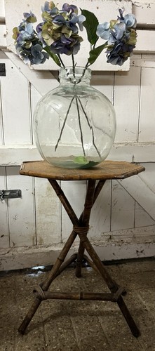 Small victorian tiger bamboo - tiger,