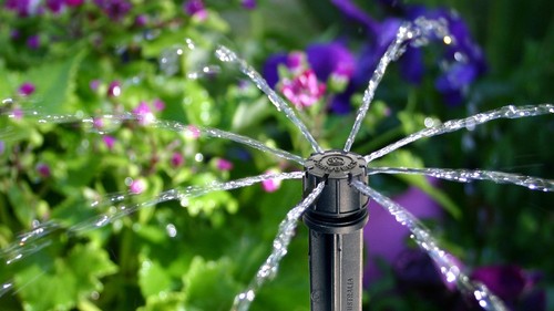 Micro irrigation garden - micro,