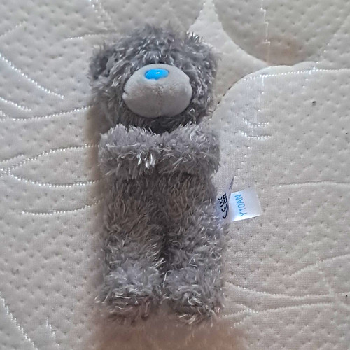You tatty teddy - me,