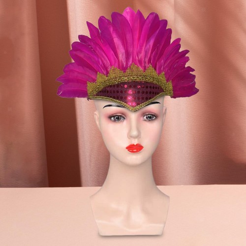 Feather headdress costume - feather,