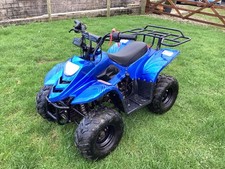 TaoTao Bear Foot 125cc quad