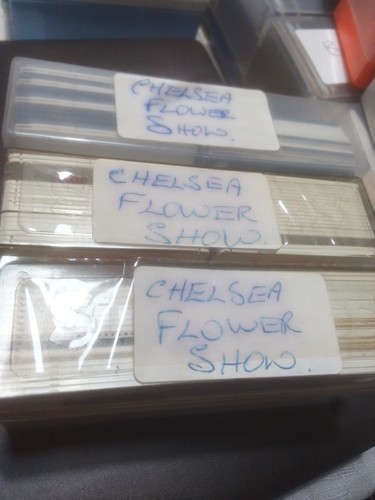 35mm coloured slides - 35mm,