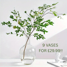 SET OF 9 – Clear Glass Bottle Vases 25cm | Bulk Lot / Wholesale | Resale