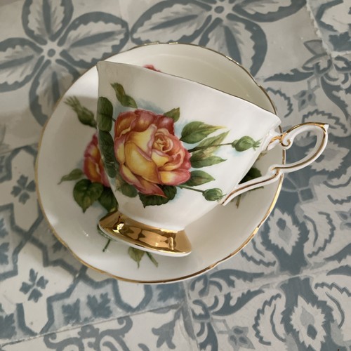Paragon peace rose harry - peace,