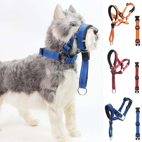 Dog training head collar - dog,