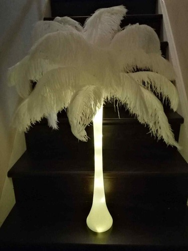 Light vase ostrich feather - up,