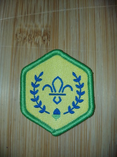 Scouting current chief - uk,
