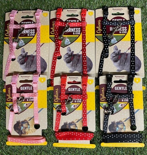 Rabbit harness guinea pig - rabbit,