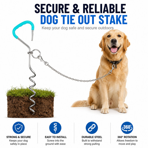 Dog chains for - chains, out