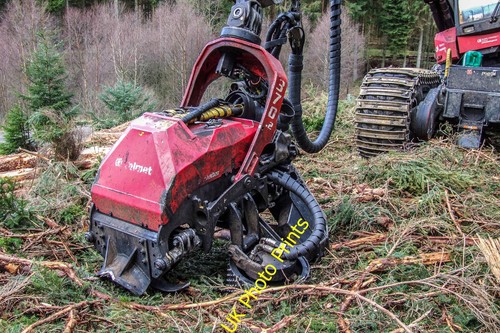 Photo 12x8 kielder forest - 12x8,