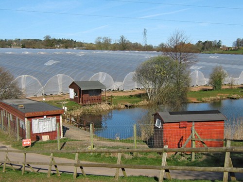 Photo 6x4 polytunnels - photo,