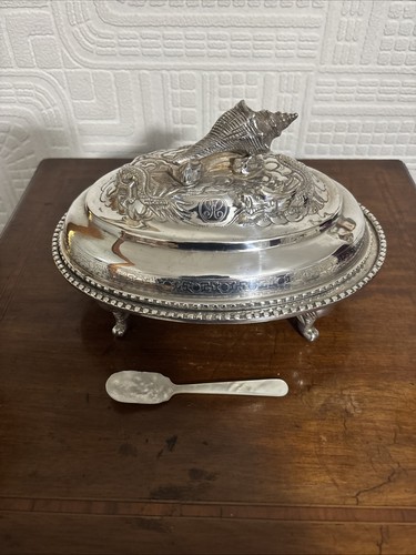 Beautiful anglo indian - beautiful, silver