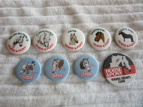 Job lot horse pony - lot, badges
