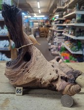 Large 24-49cm Mopani Wood