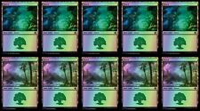 MTG 10x FOIL Forest Basic Land Bundle (Random Art) [Lost Caverns of Ixalan]