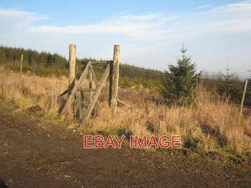 Photo deer proof fence and - deer-proof,