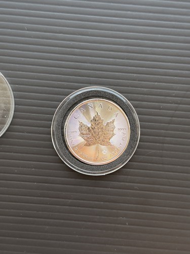 2020 canadian maple - 2020,