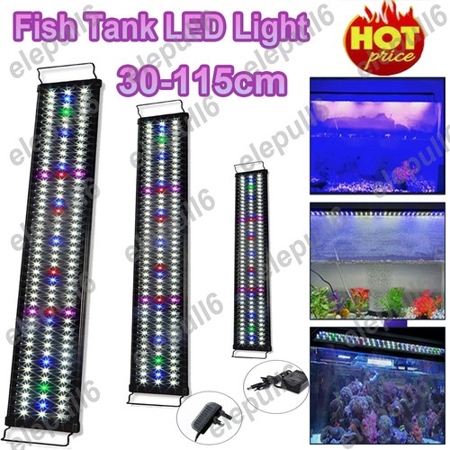 Aquarium fish tank led - aquarium,