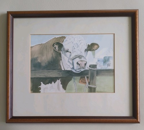 Framed print hereford bull - framed,