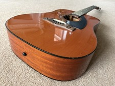 Vintage Eko Rio Grande VI