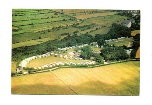 Wales llanon woodlands - llanon,,