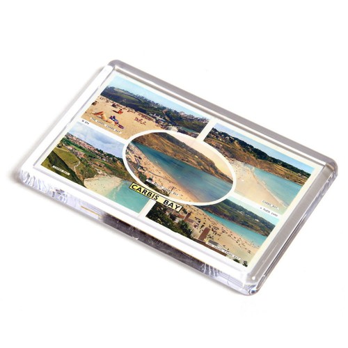 Fridge magnet vintage - fridge,