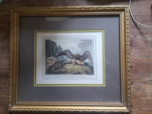 Antique eagle hunting print - eagle,