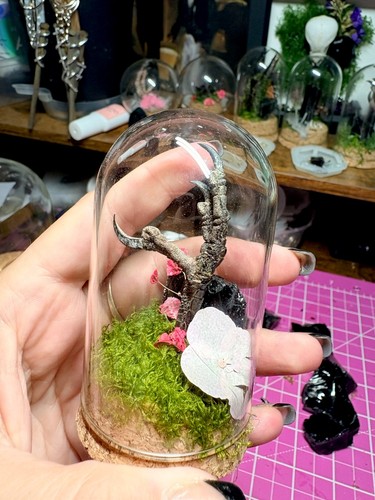 Magpie foot taxidermy - foot,