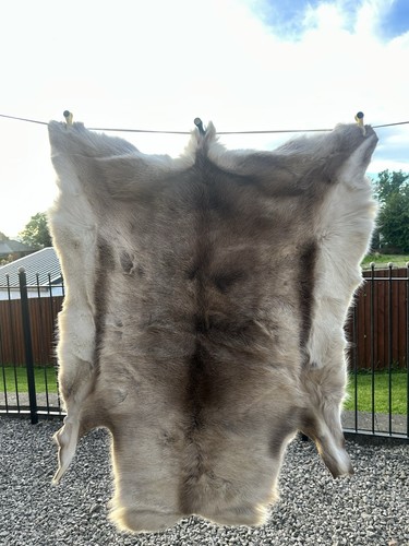 Genuine reindeer hide beige - reindeer,