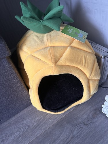 Yellow pineapple shaped - pineapple, cat