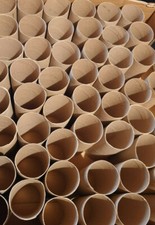 100 X Empty Toilet Rolls Craft