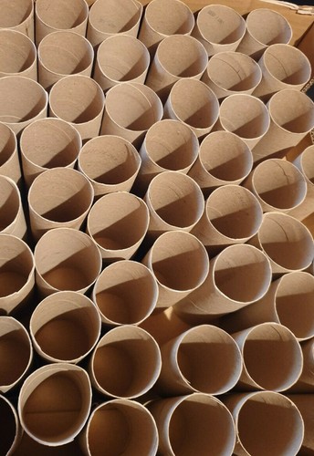 100 empty toilet rolls craft - 100,