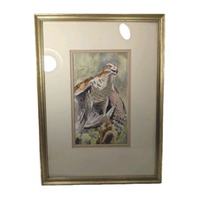 Framed Watercolour Hawk Bird