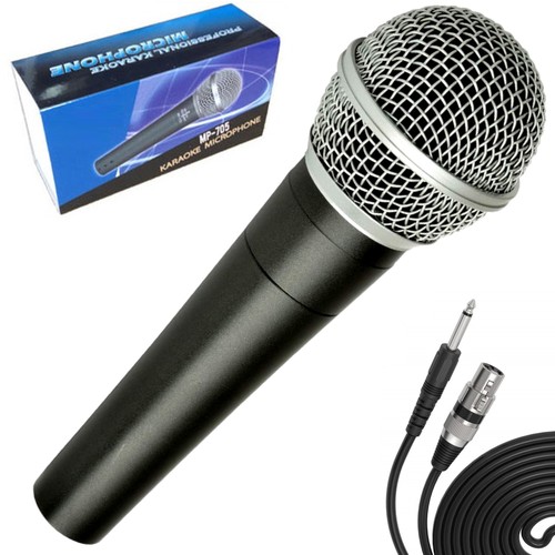 Professional dynamic karaoke - dynamic,