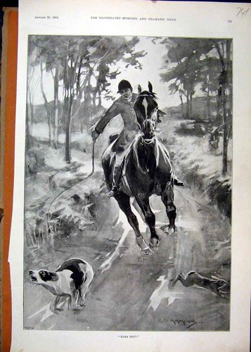 Old antique print 1896 - old,