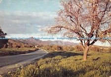 D078088 Almond Tree in full